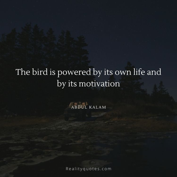 The bird is powered by its own life and by its motivation