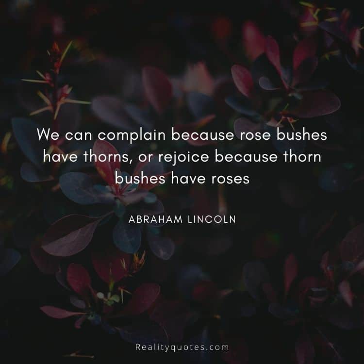 We can complain because rose bushes have thorns, or rejoice because thorn bushes have roses