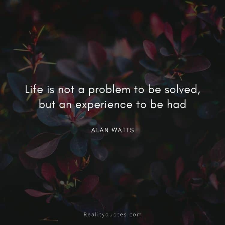 Life is not a problem to be solved, but an experience to be had