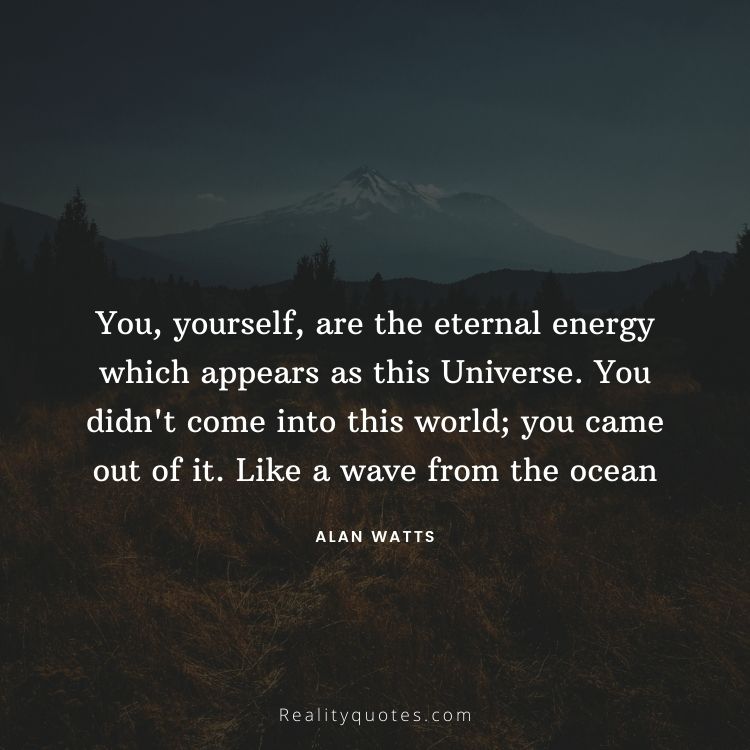 You, yourself, are the eternal energy which appears as this Universe. You didn't come into this world; you came out of it. Like a wave from the ocean