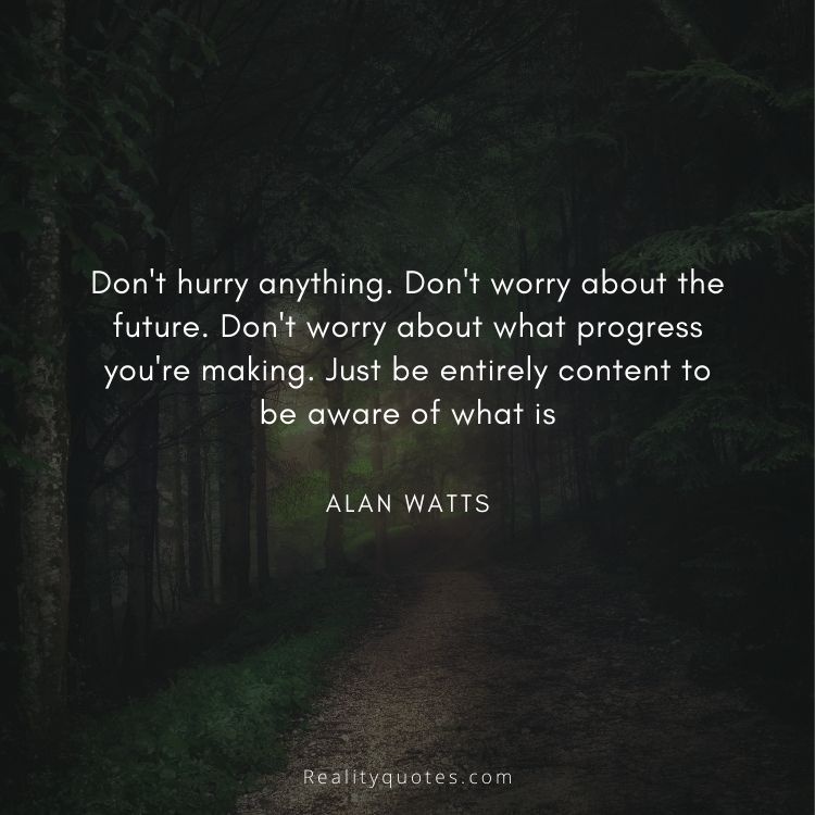 Don't hurry anything. Don't worry about the future. Don't worry about what progress you're making. Just be entirely content to be aware of what is