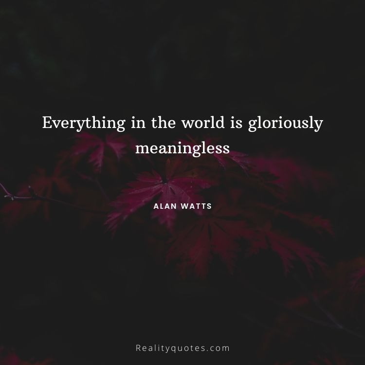 Everything in the world is gloriously meaningless