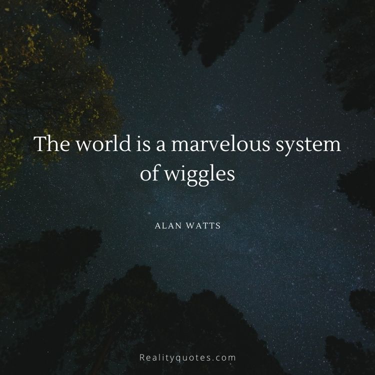 The world is a marvelous system of wiggles