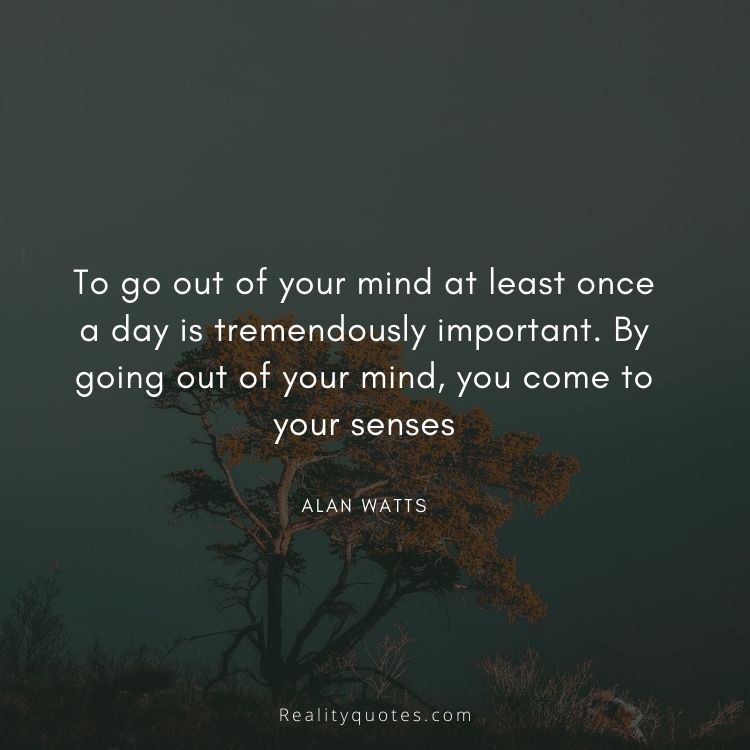 To go out of your mind at least once a day is tremendously important. By going out of your mind, you come to your senses
