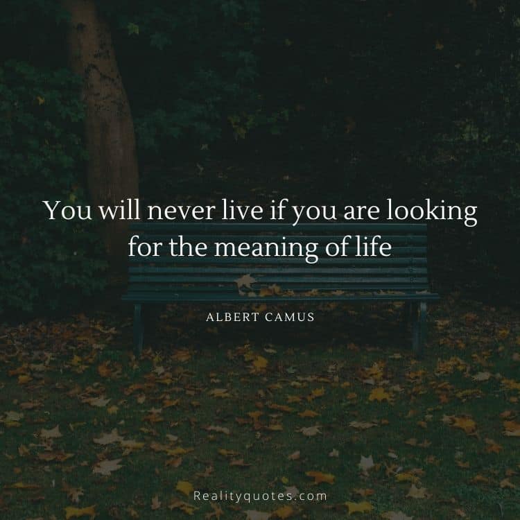 You will never live if you are looking for the meaning of life