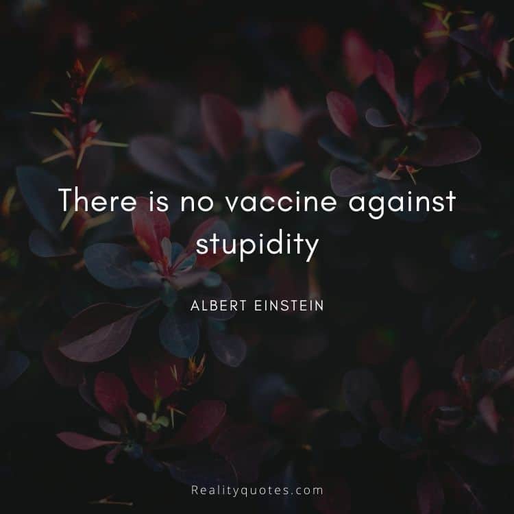 There is no vaccine against stupidity