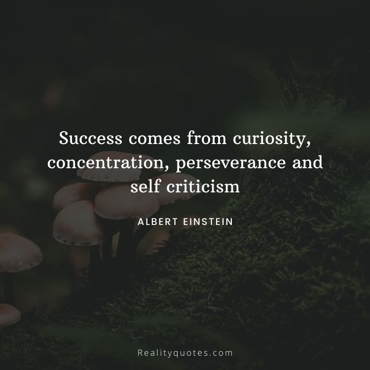 Success comes from curiosity, concentration, perseverance and self criticism