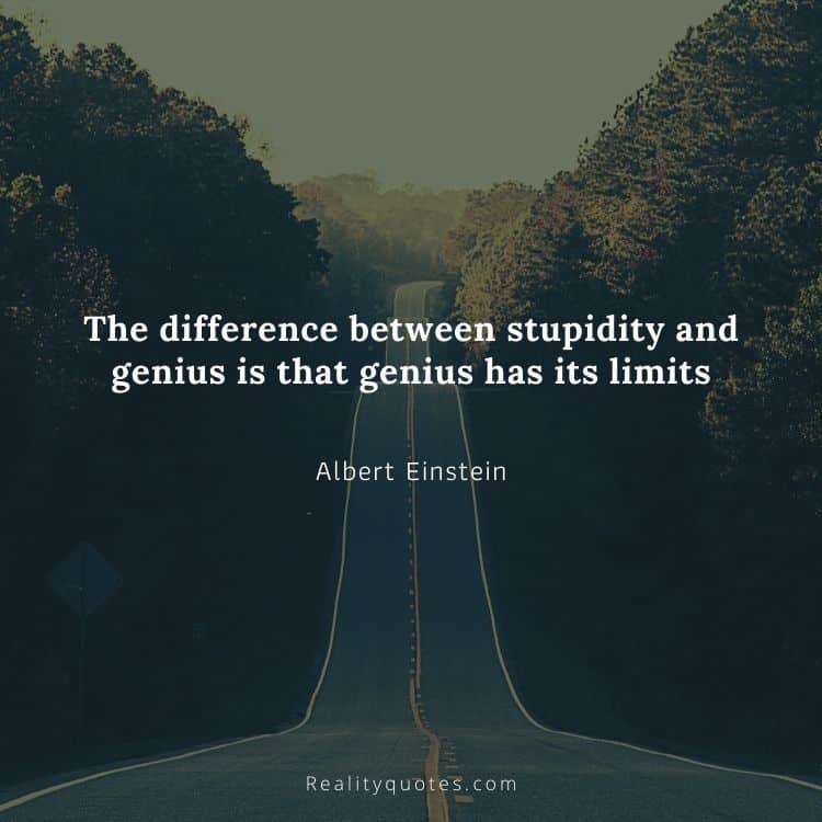 The difference between stupidity and genius is that genius has its limits