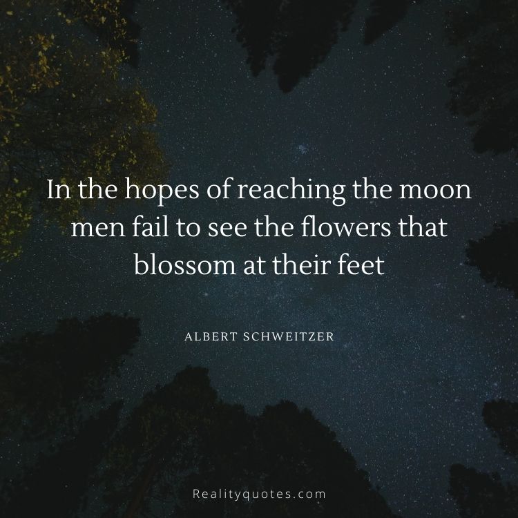 In the hopes of reaching the moon men fail to see the flowers that blossom at their feet