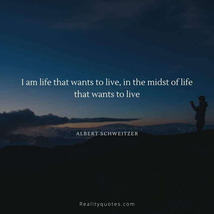I am life that wants to live, in the midst of life that wants to live