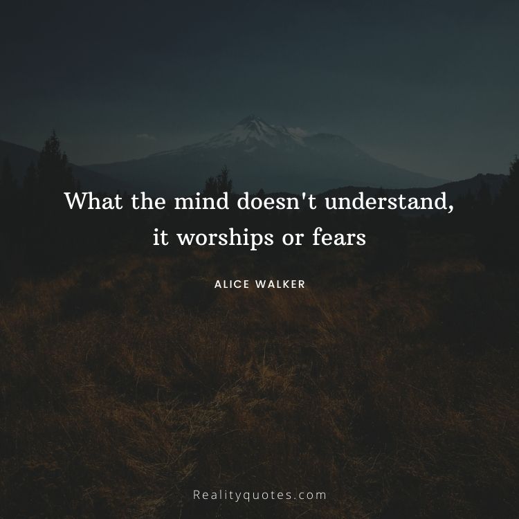 What the mind doesn't understand, it worships or fears