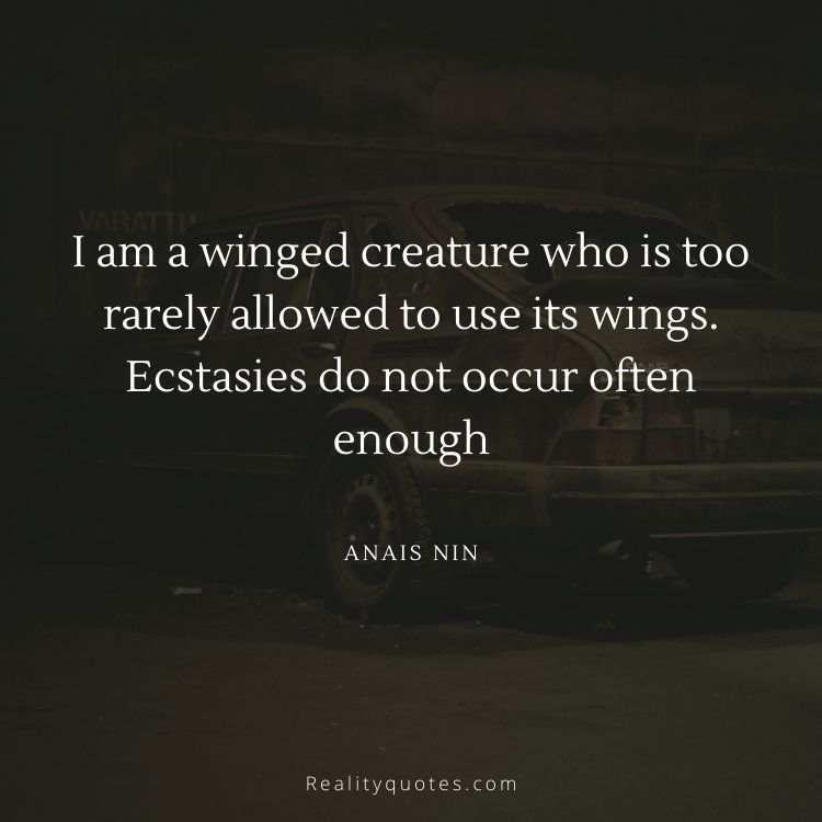 I am a winged creature who is too rarely allowed to use its wings. Ecstasies do not occur often enough