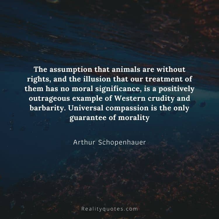 The assumption that animals are without rights, and the illusion that our treatment of them has no moral significance, is a positively outrageous example of Western crudity and barbarity. Universal compassion is the only guarantee of morality