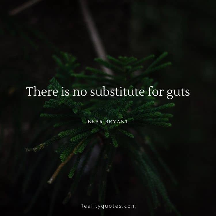 There is no substitute for guts