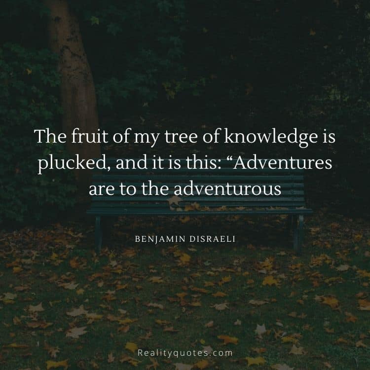 The fruit of my tree of knowledge is plucked, and it is this: “Adventures are to the adventurous