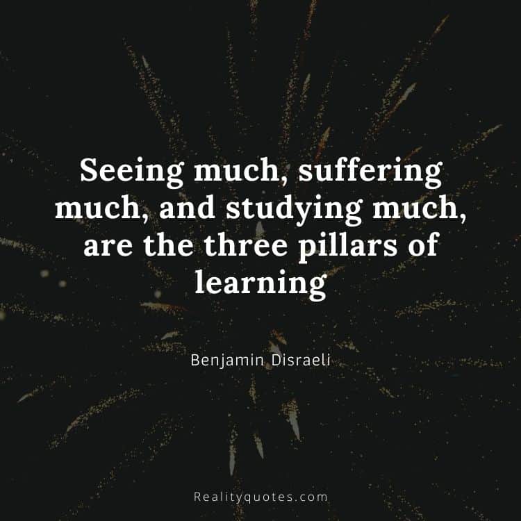 Seeing much, suffering much, and studying much, are the three pillars of learning