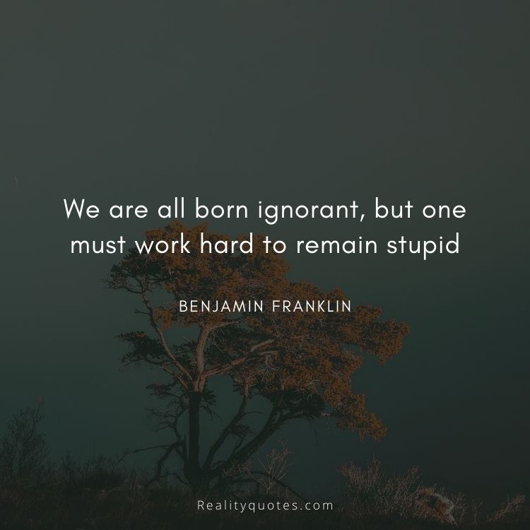 We are all born ignorant, but one must work hard to remain stupid