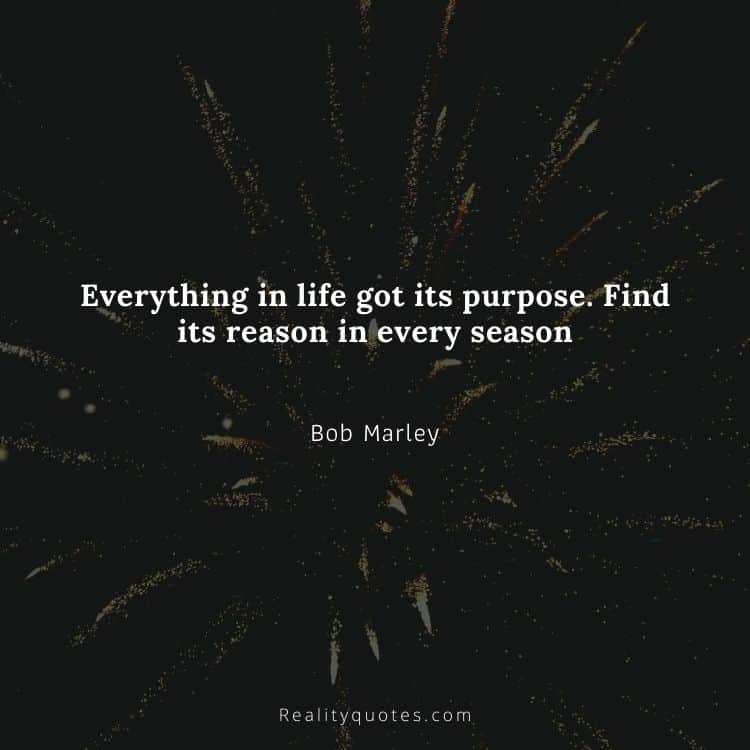 Everything in life got its purpose. Find its reason in every season