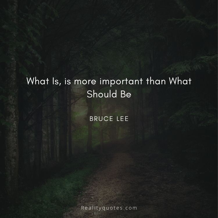 What Is, is more important than What Should Be
