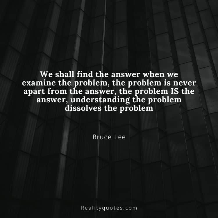 We shall find the answer when we examine the problem, the problem is never apart from the answer, the problem IS the answer, understanding the problem dissolves the problem