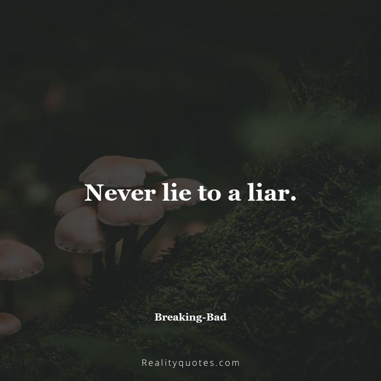24. Never lie to a liar.