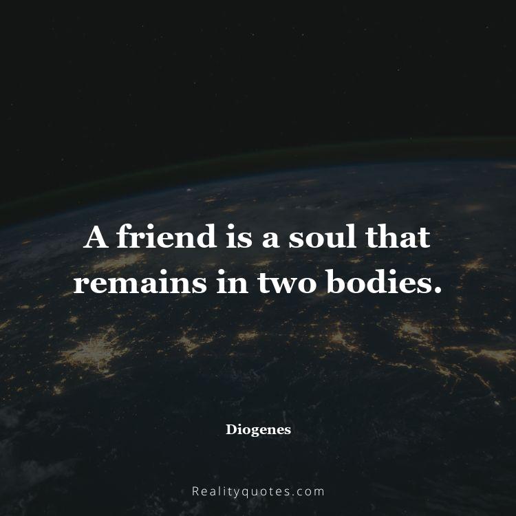 16. A friend is a soul that remains in two bodies.