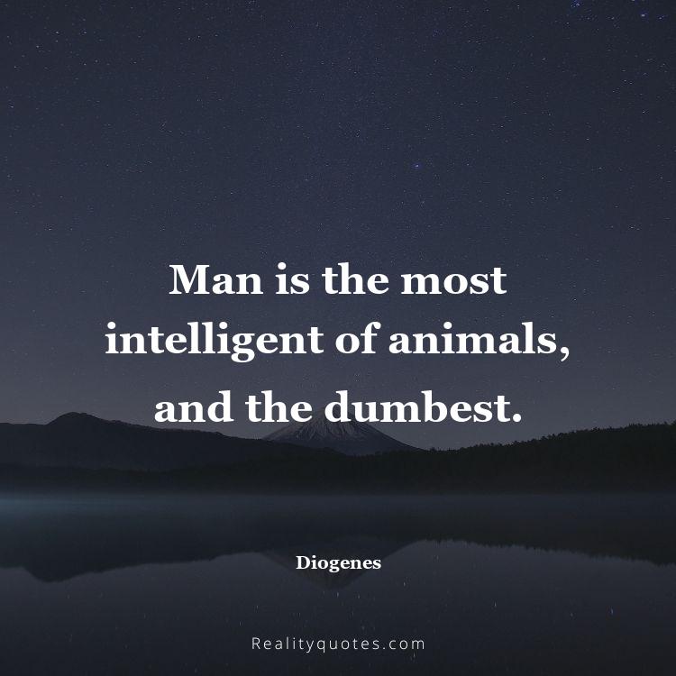 22. Man is the most intelligent of animals, and the dumbest.