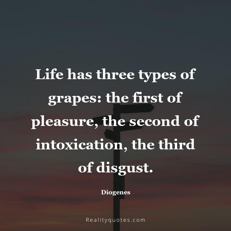 6. Life has three types of grapes: the first of pleasure, the second of intoxication, the third of disgust.