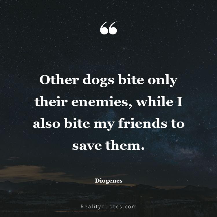 79. Other dogs bite only their enemies, while I also bite my friends to save them.