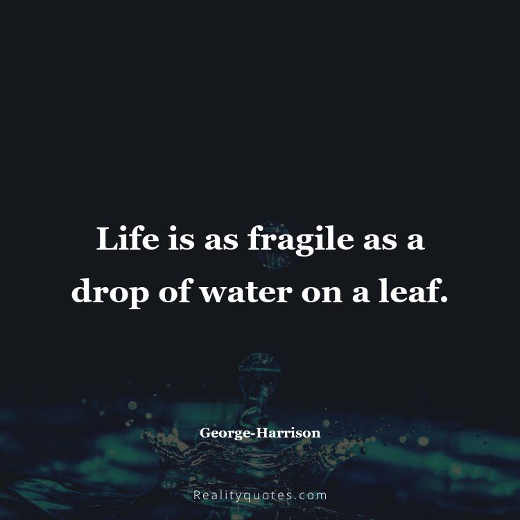 39. Life is as fragile as a drop of water on a leaf.