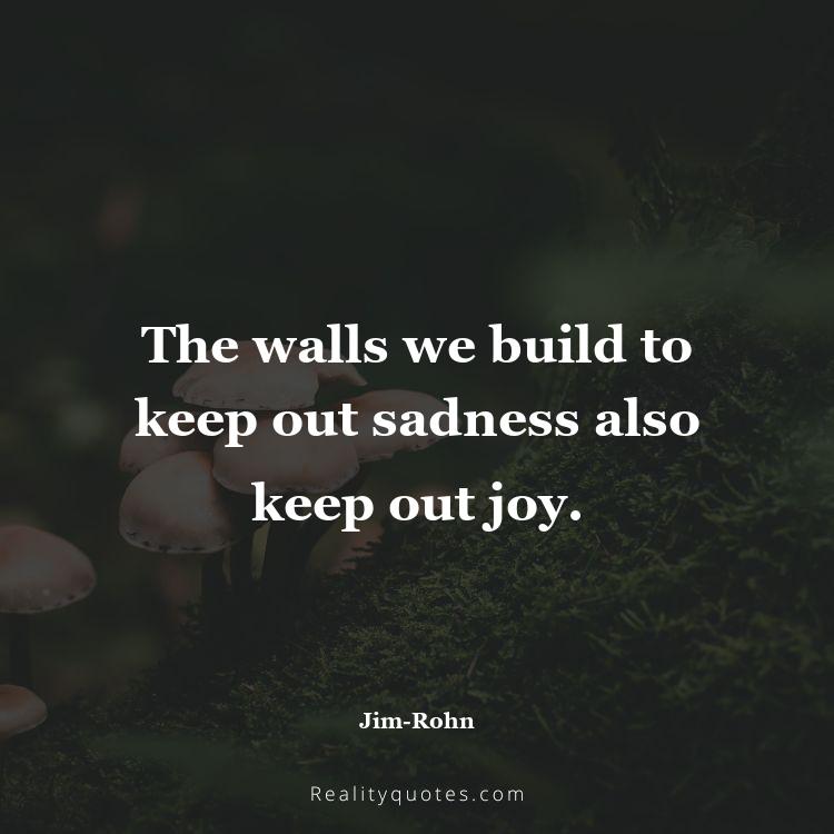 18. The walls we build to keep out sadness also keep out joy.