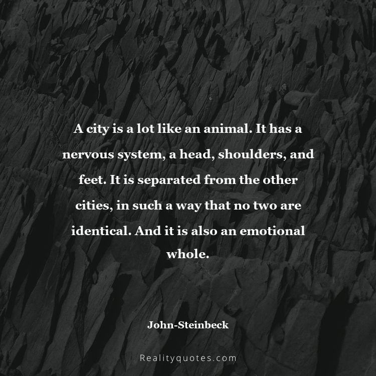 22. A city is a lot like an animal. It has a nervous system, a head, shoulders, and feet. It is separated from the other cities, in such a way that no two are identical. And it is also an emotional whole.