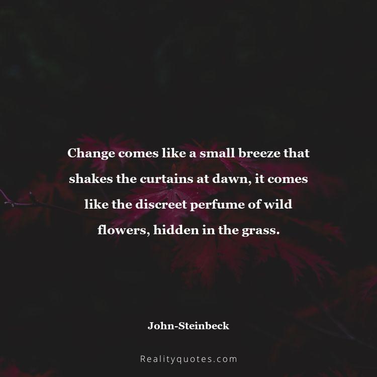 31. Change comes like a small breeze that shakes the curtains at dawn, it comes like the discreet perfume of wild flowers, hidden in the grass.