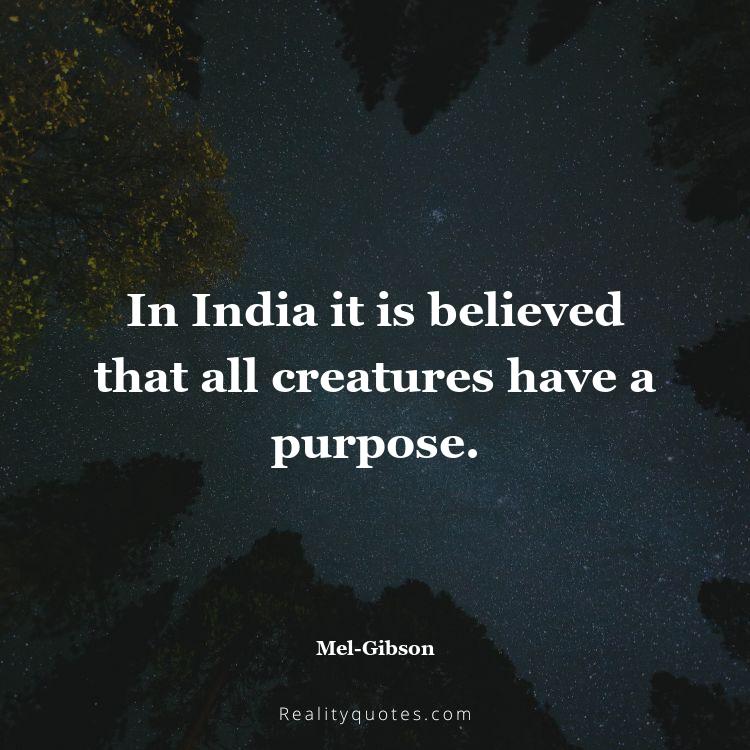 53. In India it is believed that all creatures have a purpose.